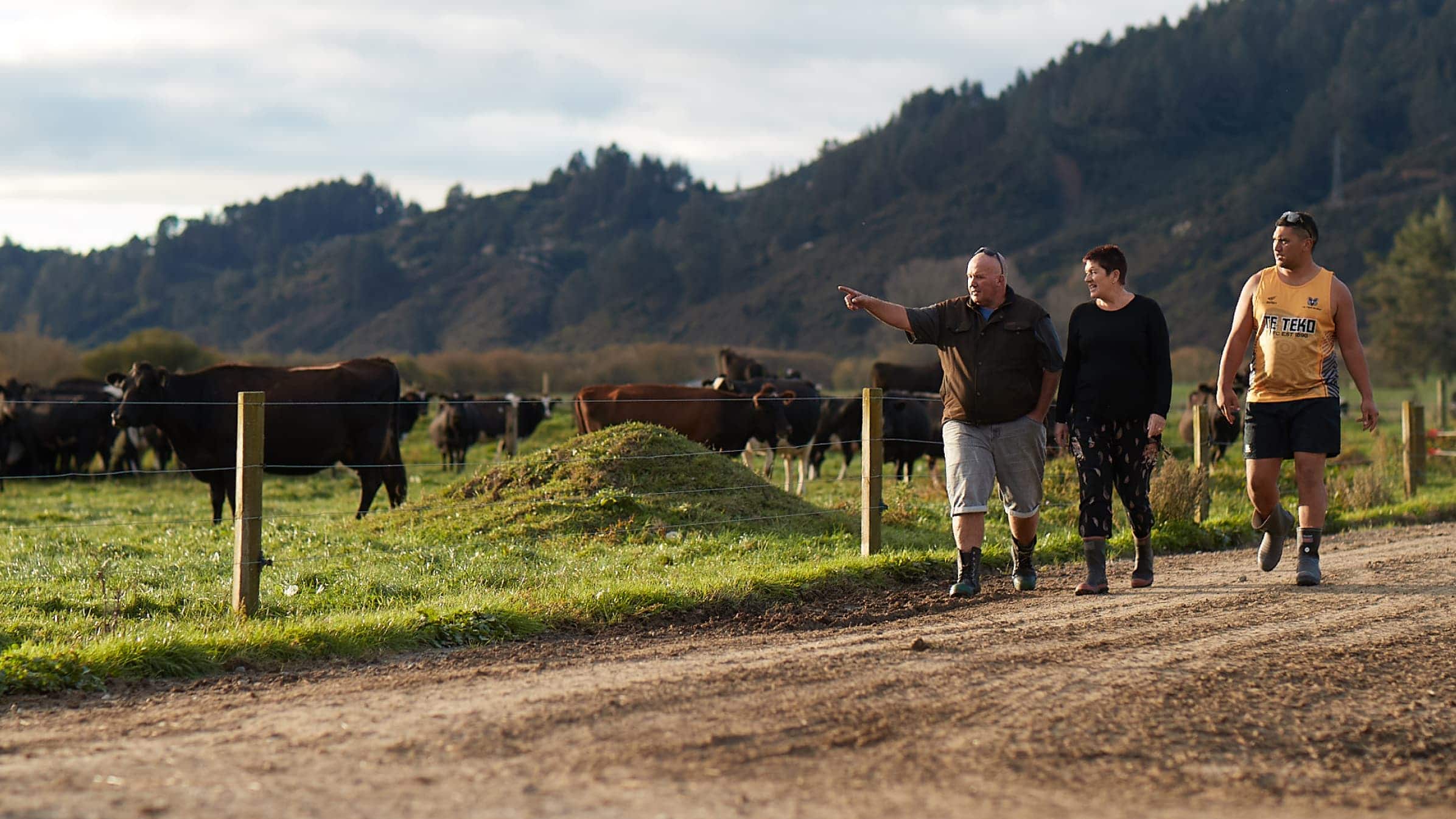 Col and Di Wilson and their farm manager Hare Ngaheu walking along a farm track next to a paddock of cows.